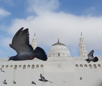 Masjid al-Qiblatayn